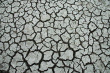 Load image into Gallery viewer, Custom Underwear Dry Lake Bed 2