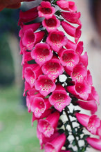 Load image into Gallery viewer, Bell Flower Long Bodycon Dress
